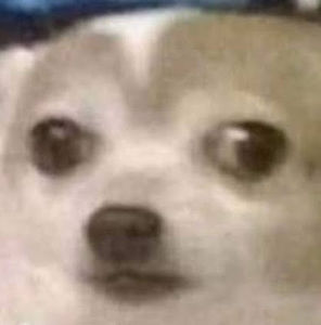 Meet your Posher, Jackson